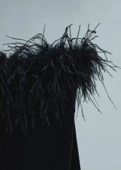 Robe Bustier Détail Plumes -Mode Nouvelle Magasin 57005154 99 D8